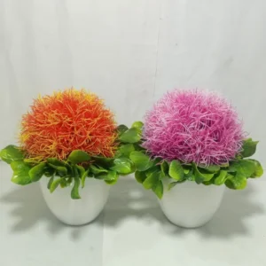 BUNGA DURI WARNA CAMPUR  + POT