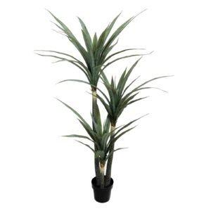 POHON ANGGREK HITAM 3 BATANG 54DAUN 170CM