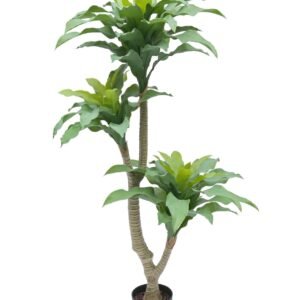 POHON HARIMAU 3 BATANG 135CM