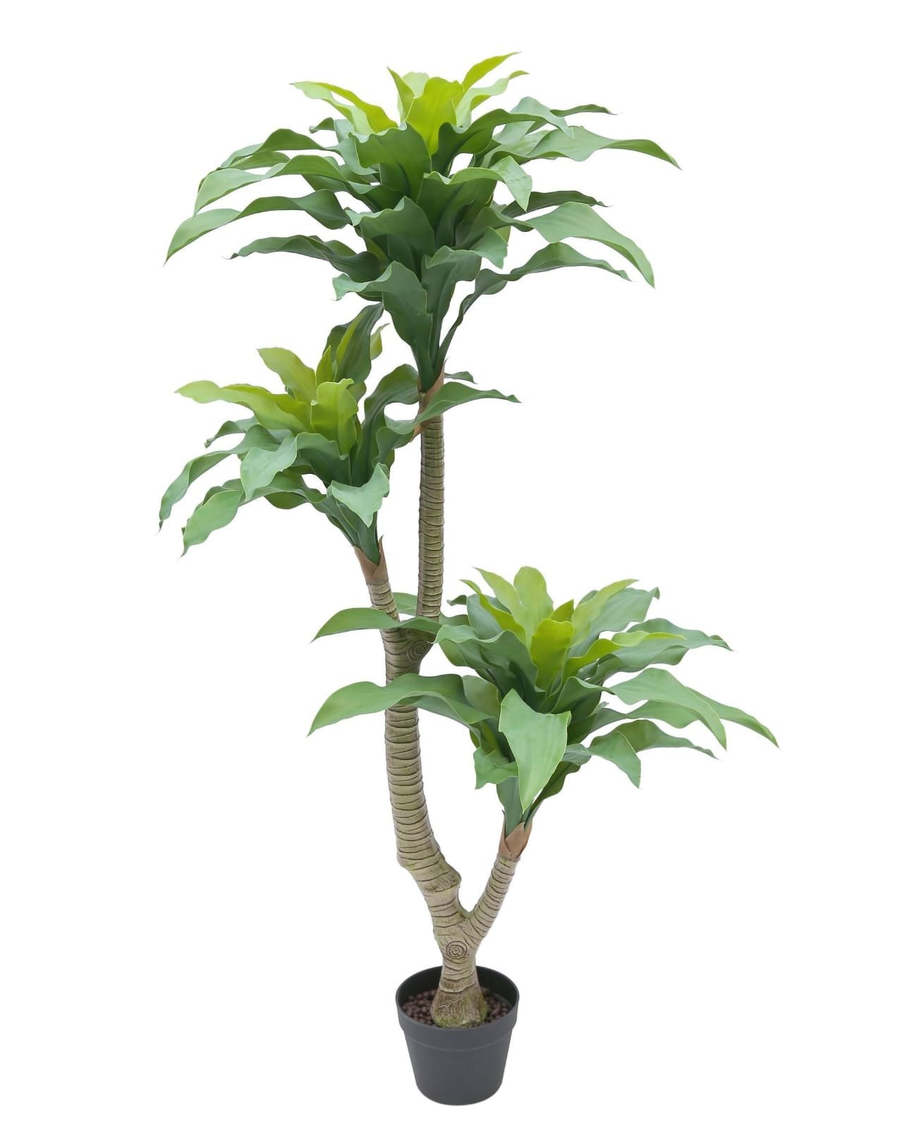 POHON HARIMAU 3 BATANG 135CM