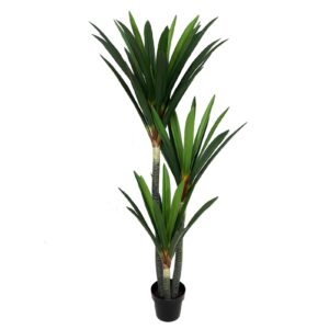 POHON AMARYLLIS 3 BATANG 165CM