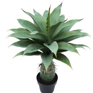 POHON ANGGREK EKOR RUBAH PAGODA 85CM