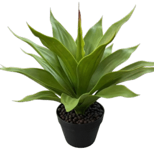 POHON ANGGREK EKOR RUBAH 45CM