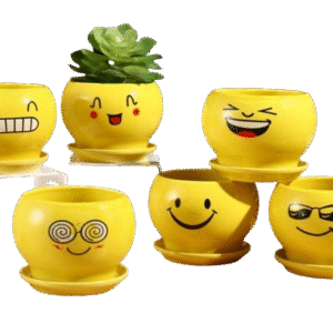 POT BUNGA KERAMIK HY1019-1