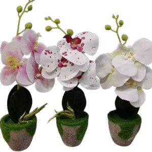 BUNGA BONSAI ANGGREK 168001