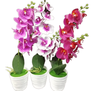 BUNGA ANGGREK 2 CABANG 168002