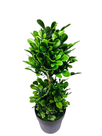 BUNGA+POT FY247 - Gambar 2